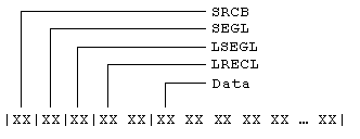 Spanned Record Structure (First Segment)